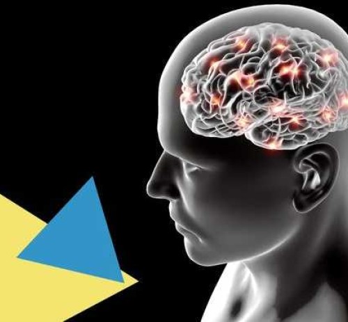 Programmazione Neurolinguistica (videocorso)